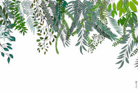 Papier peint représentant des plantes grimpantes florissantes au printemps, avec des feuilles vertes vibrantes et des fleurs délicates émergeant sur un fond clair, apportant une sensation de renouveau et de vitalité à l'espace.