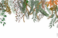 Papier peint représentant des plantes grimpantes aux couleurs automnales, avec des feuilles passant du vert au rouge et au doré, évoquant une atmosphère chaleureuse et saisonnière.