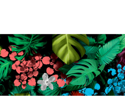 Crédence sur mesure - Éclat tropical du Jungle Hibiscus