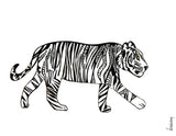 Louisemshop Composite aluminium 3mm / 60x70cm / Noir et blanc Fond de hotte - Tigre qui marche